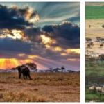 National Parks of Tanzania